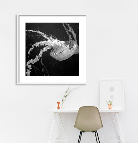 Dubai - Jelly Fish (with Frame)