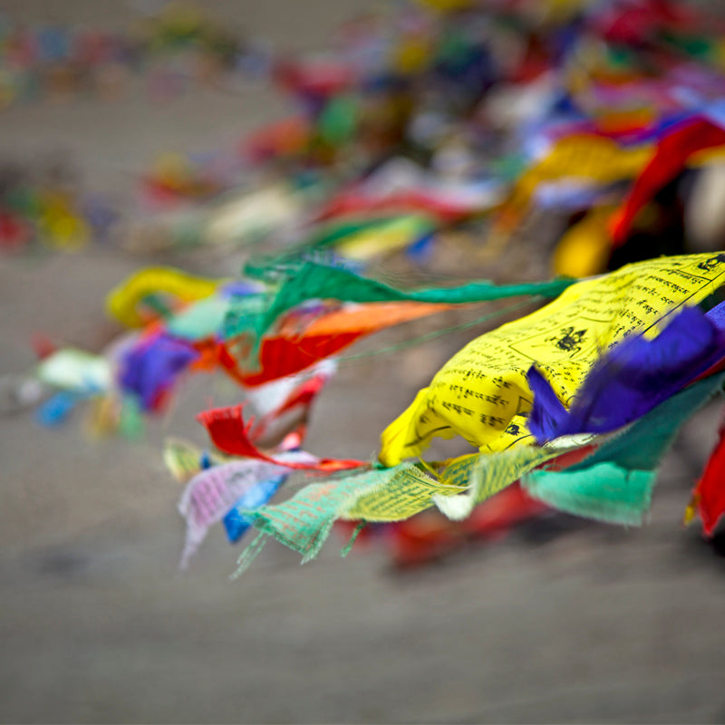 Ladakh - Ladakh Prayer Flags (with Frame)