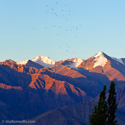 Ladakh - Leh Mountain Range. Ladakh is most famous for breathtaking landscapes, the crystal clear skies, the highest mountain passes, thrilling adventure activities, Buddhist Monasteries and festivals. (_MG_5812 Ladakh Col)   This Fine Art Photograph is printed on Canvas.