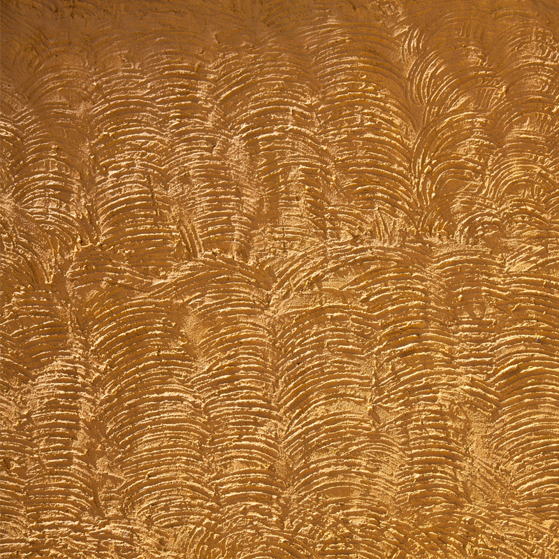 Ladakh - Textured Wall at Thiksey Monastery (with Frame)