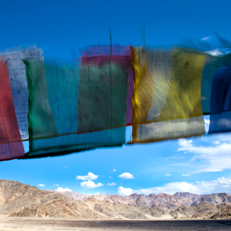 Ladakh - Prayer Flags at Thiksey Monastery (with Frame)