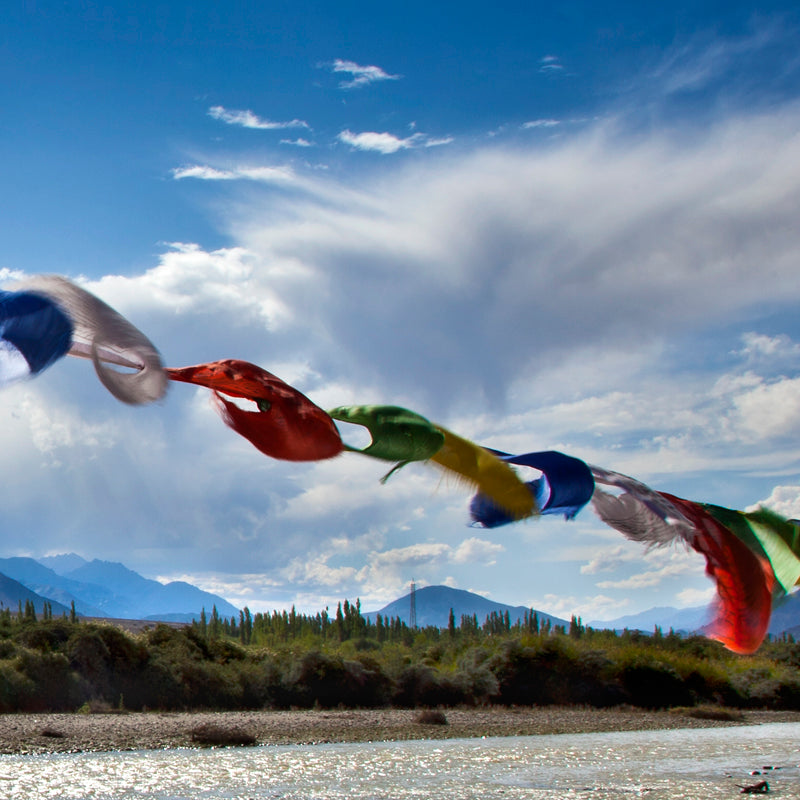 Ladakh - Prayer Flags (with Frame)