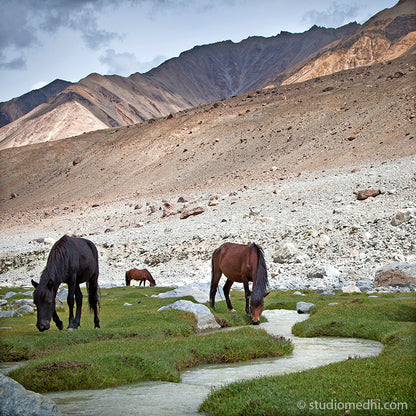 Ladakh - Way to Pengong Tso. Ladakh is most famous for breathtaking landscapes, the crystal clear skies, the highest mountain passes, thrilling adventure activities, Buddhist Monasteries and festivals. (_MG_6054 Ladakh Col)   This Fine Art Photograph is printed on Canvas.