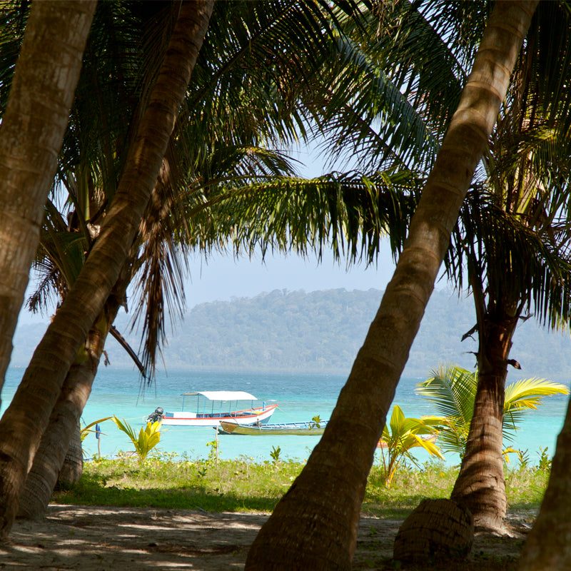 Andaman - Aqua Sea White Sand and Sailing Boats (with Frame)