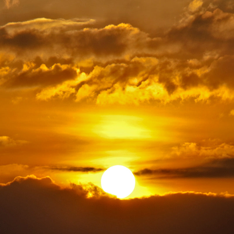 Andaman - Radhanagar Beach Sunset (with Frame)