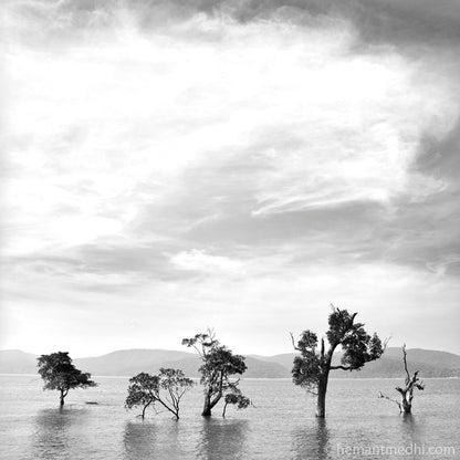 Andaman - Aqua Sea White Sand and Sailing Boats (with Frame)