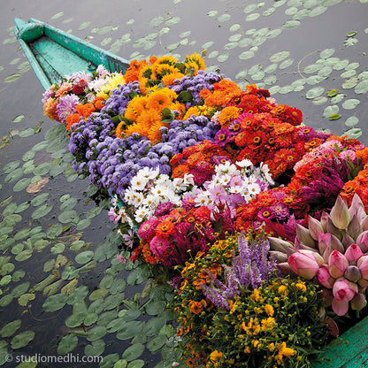 Ladakh is most famous for breathtaking landscapes, the crystal clear skies, the highest mountain passes, thrilling adventure activities, Buddhist Monasteries and festivals. (_MG_5365 Ladakh Col)   This Fine Art Photograph is printed on Canvas. Colourful Flowers in a boat